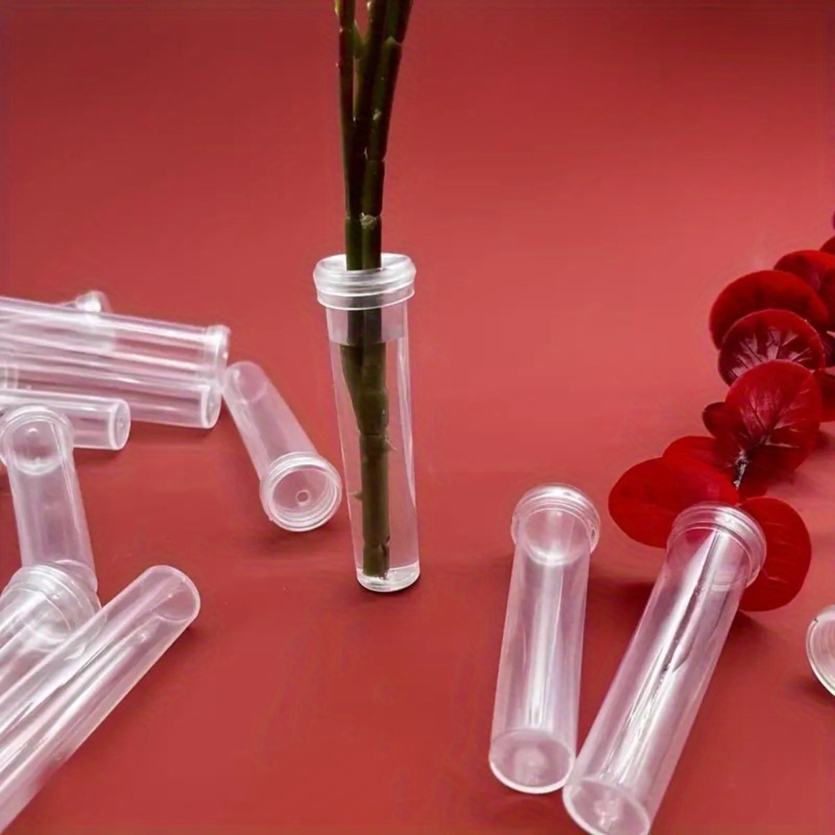 10Pc Transparent Plastic Flora - Wedding Decoration Supply 评论和价格